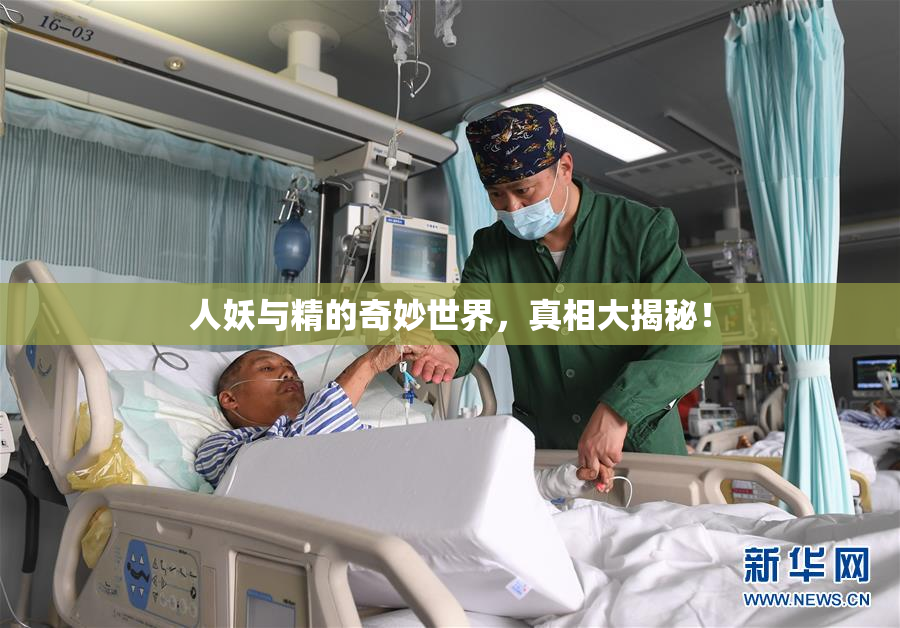 人妖与精的奇妙世界，真相大揭秘！