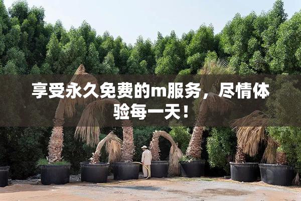 享受永久免费的m服务，尽情体验每一天！