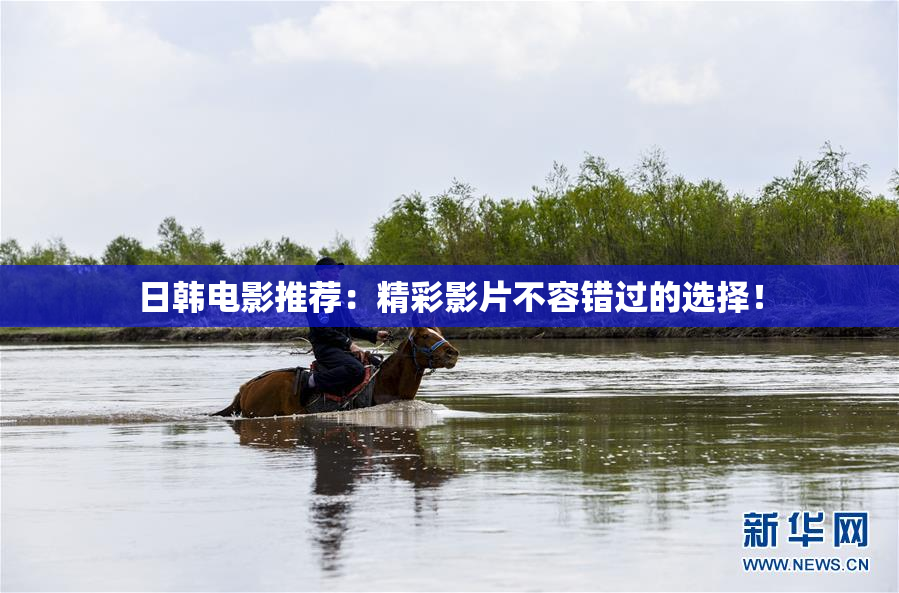 日韩电影推荐：精彩影片不容错过的选择！