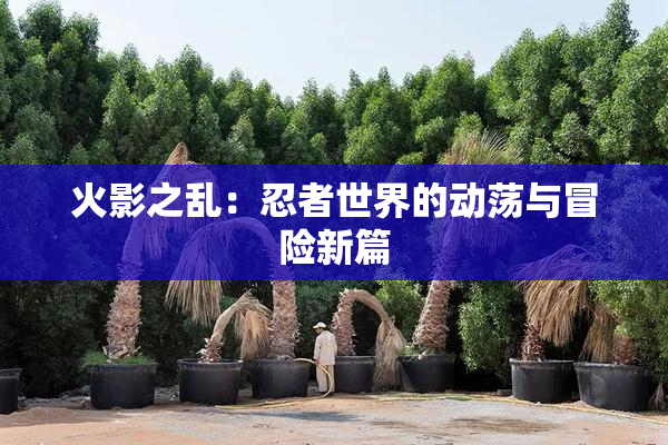 火影之乱：忍者世界的动荡与冒险新篇