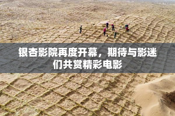 银杏影院再度开幕，期待与影迷们共赏精彩电影