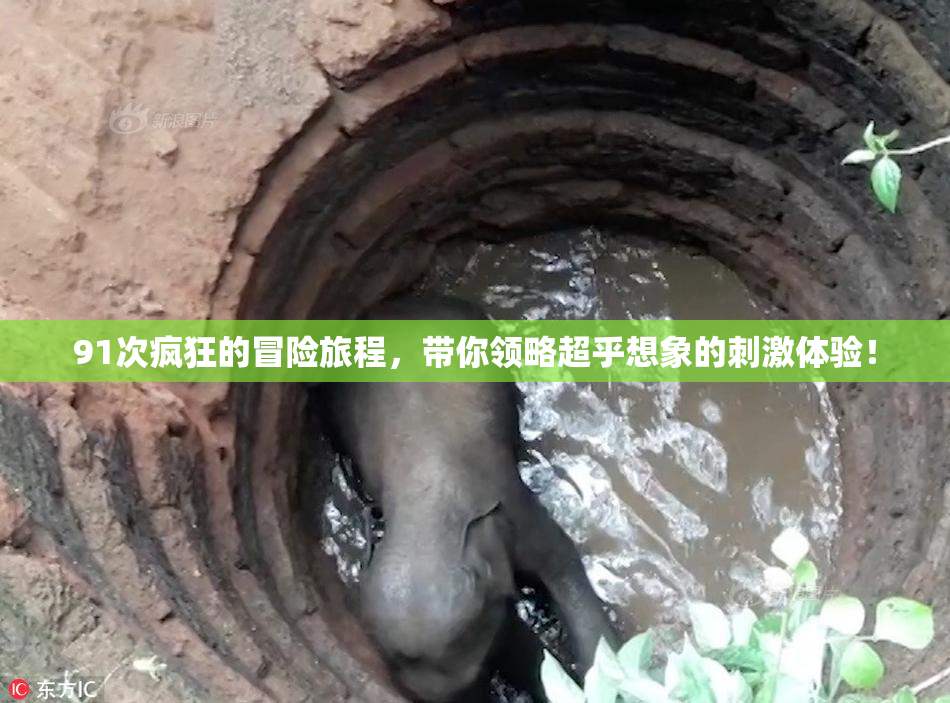 91次疯狂的冒险旅程，带你领略超乎想象的刺激体验！