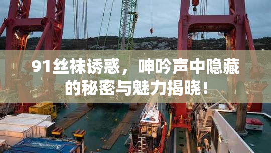 91丝袜诱惑，呻吟声中隐藏的秘密与魅力揭晓！