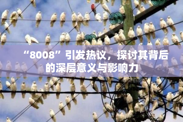 “8008”引发热议，探讨其背后的深层意义与影响力