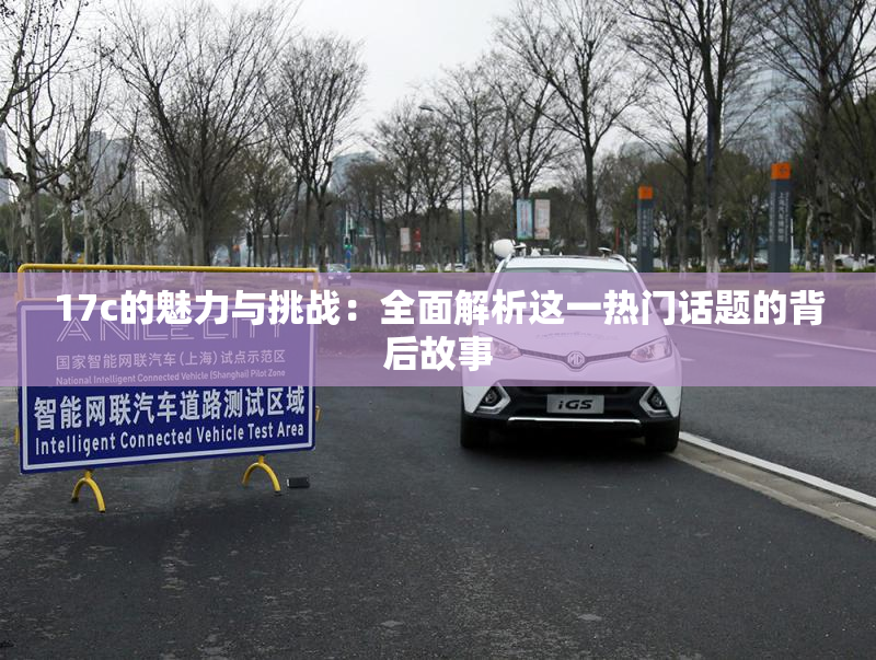 17c的魅力与挑战：全面解析这一热门话题的背后故事