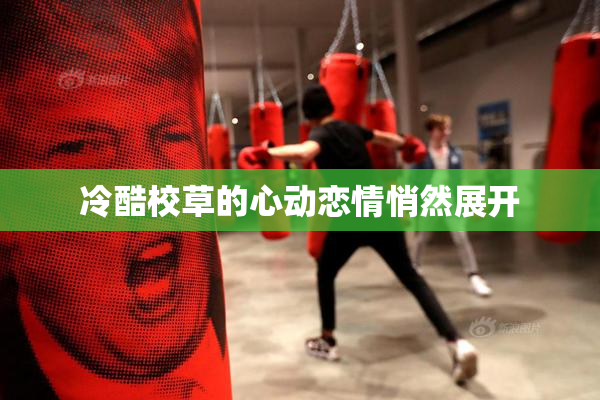 冷酷校草的心动恋情悄然展开
