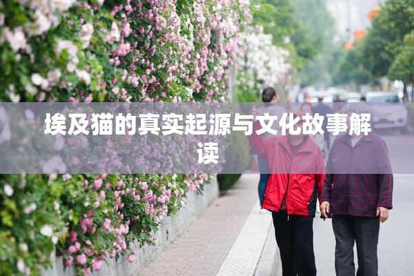 埃及猫的真实起源与文化故事解读