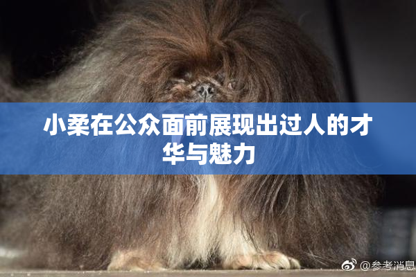 小柔在公众面前展现出过人的才华与魅力