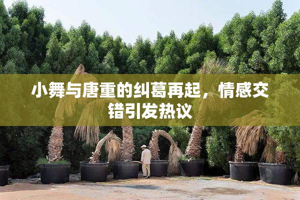 小舞与唐重的纠葛再起，情感交错引发热议