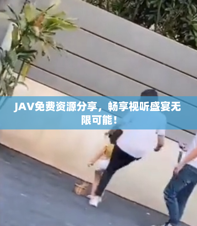 JAV免费资源分享，畅享视听盛宴无限可能！