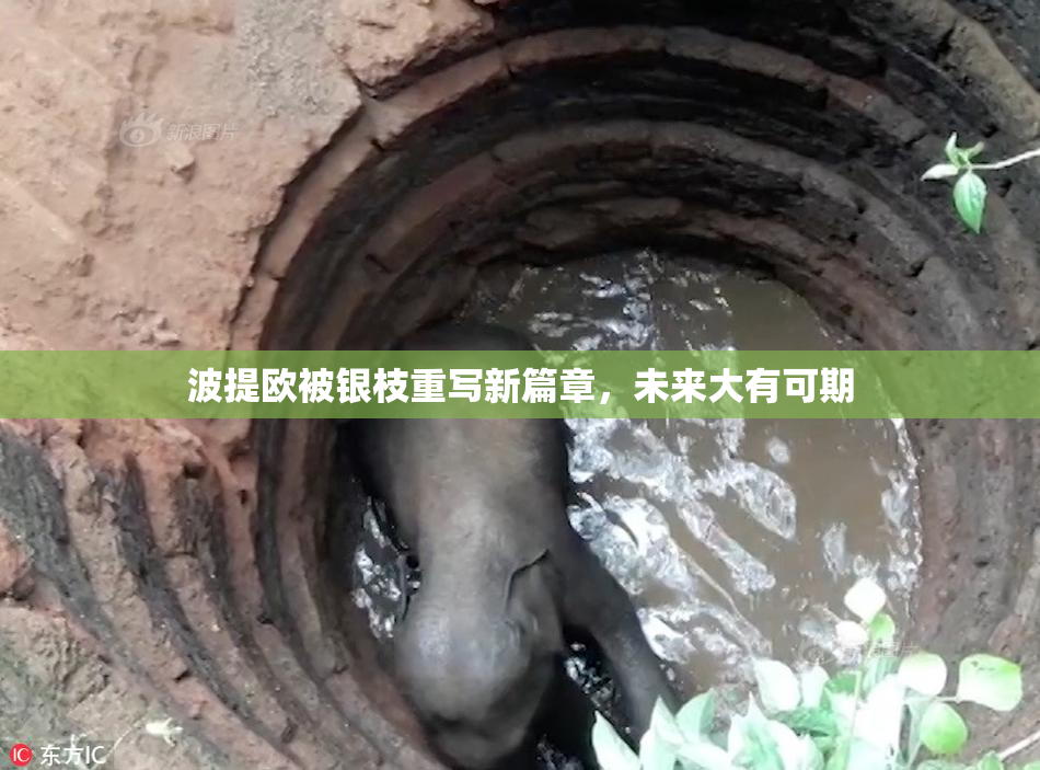 波提欧被银枝重写新篇章，未来大有可期