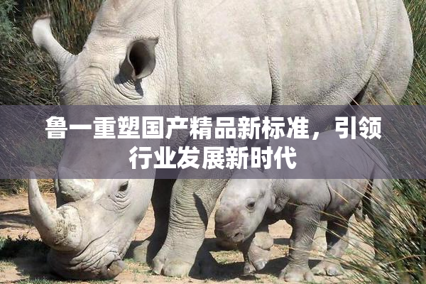 鲁一重塑国产精品新标准，引领行业发展新时代