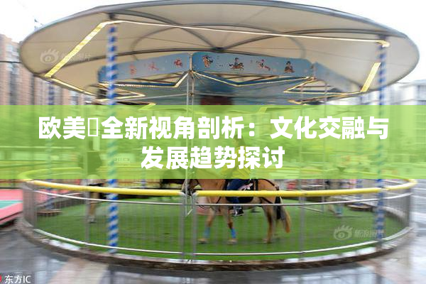 欧美巜全新视角剖析：文化交融与发展趋势探讨