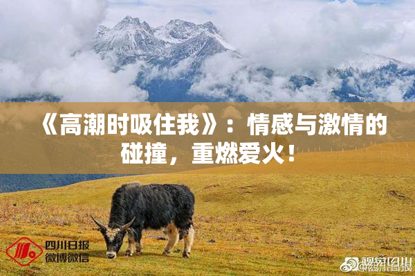 《高潮时吸住我》：情感与激情的碰撞，重燃爱火！