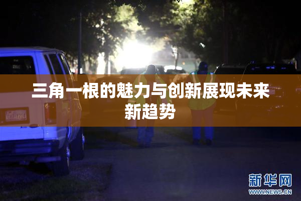 三角一根的魅力与创新展现未来新趋势