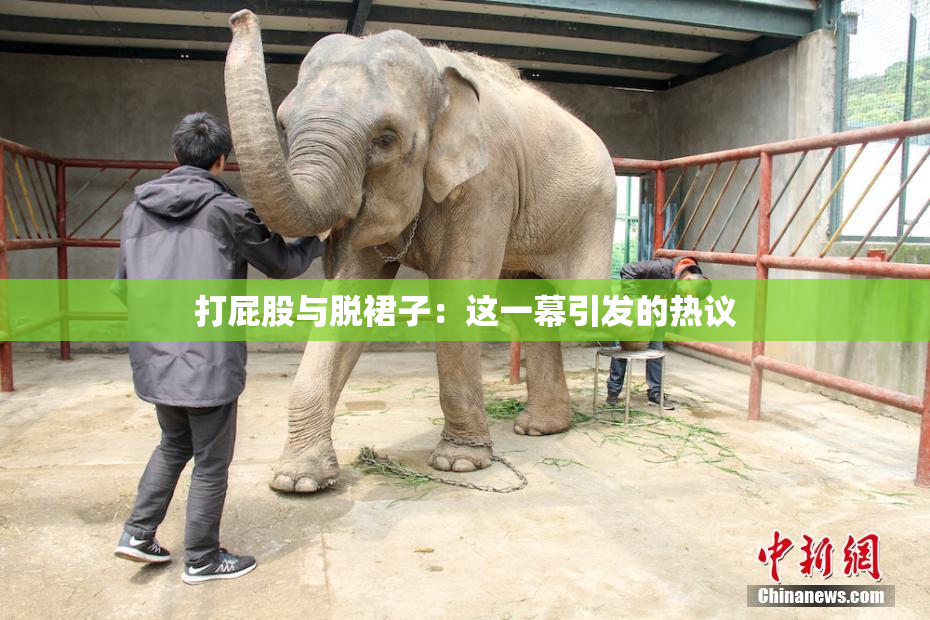 打屁股与脱裙子：这一幕引发的热议