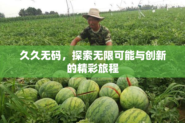 久久无码，探索无限可能与创新的精彩旅程