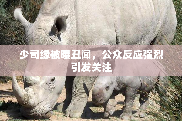 少司缘被曝丑闻，公众反应强烈引发关注