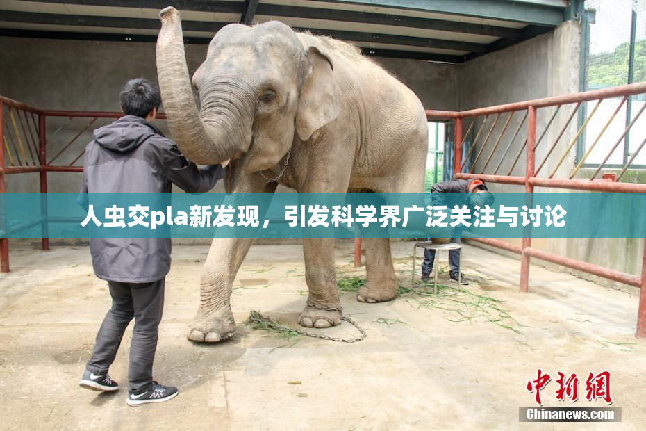 人虫交pla新发现，引发科学界广泛关注与讨论