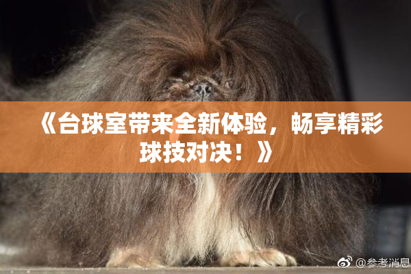 《台球室带来全新体验，畅享精彩球技对决！》