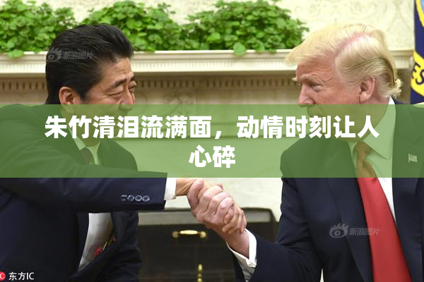 朱竹清泪流满面，动情时刻让人心碎