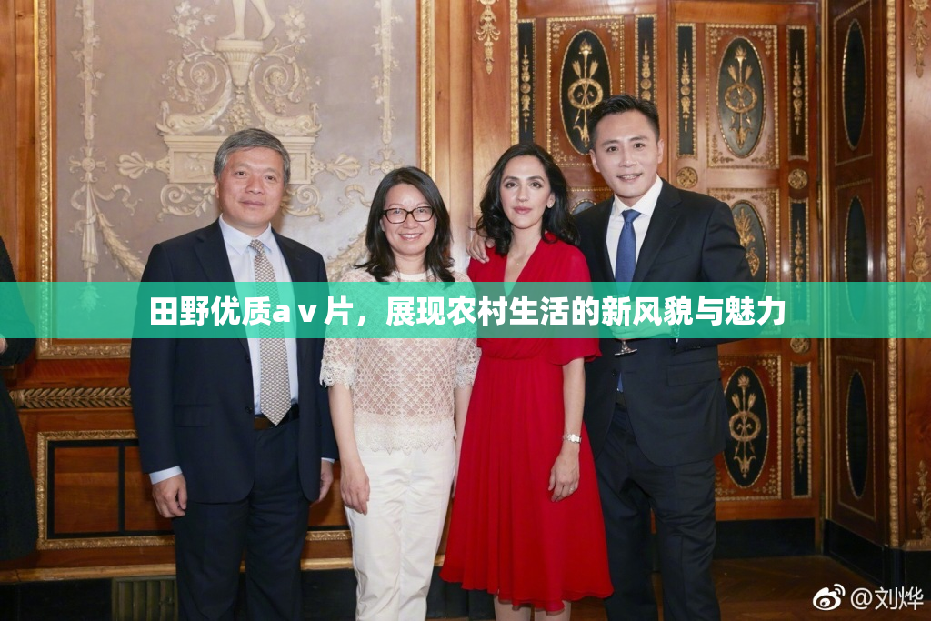 田野优质aⅴ片，展现农村生活的新风貌与魅力