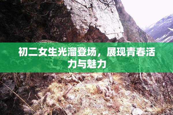初二女生光溜登场，展现青春活力与魅力
