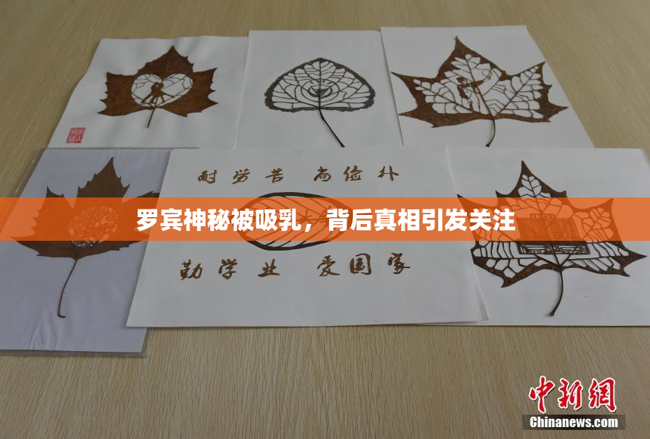 罗宾神秘被吸乳，背后真相引发关注