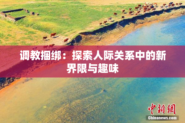 调教捆绑：探索人际关系中的新界限与趣味
