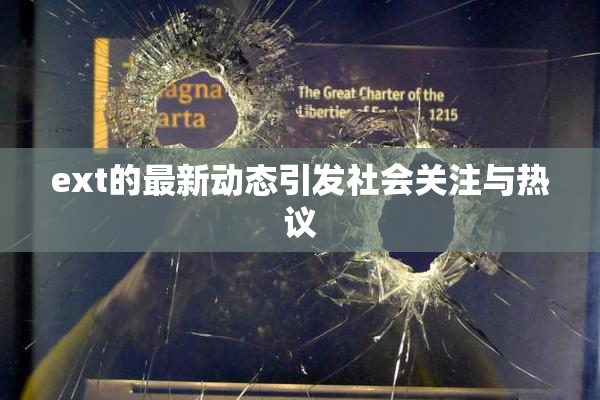 ext的最新动态引发社会关注与热议