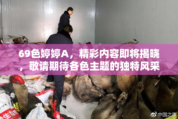 69色婷婷A，精彩内容即将揭晓，敬请期待各色主题的独特风采！