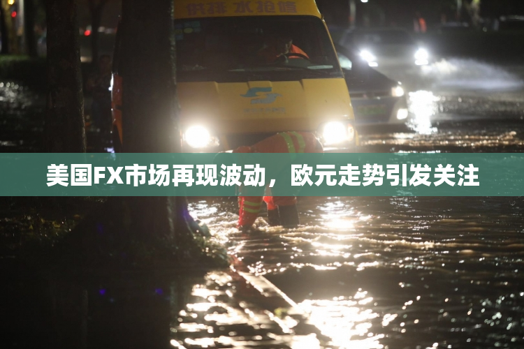 美国FX市场再现波动，欧元走势引发关注