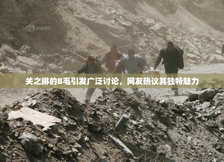 关之琳的B毛引发广泛讨论，网友热议其独特魅力