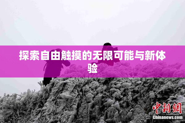 探索自由触摸的无限可能与新体验