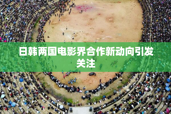 日韩两国电影界合作新动向引发关注