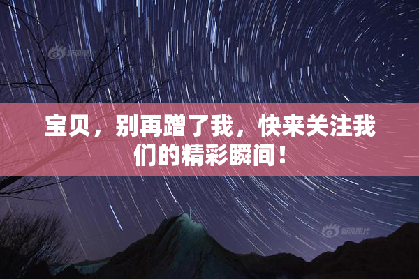 宝贝，别再蹭了我，快来关注我们的精彩瞬间！
