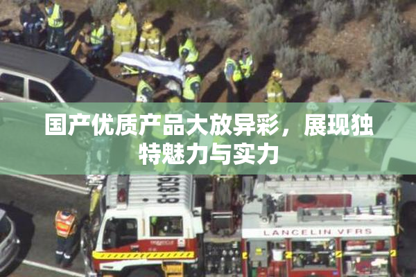 国产优质产品大放异彩，展现独特魅力与实力