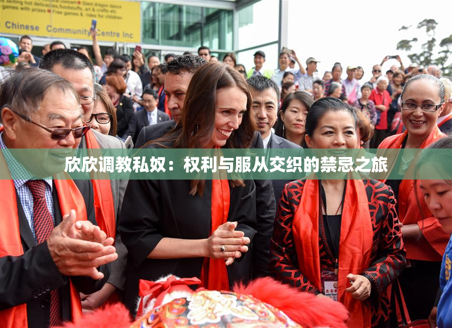 欣欣调教私奴：权利与服从交织的禁忌之旅