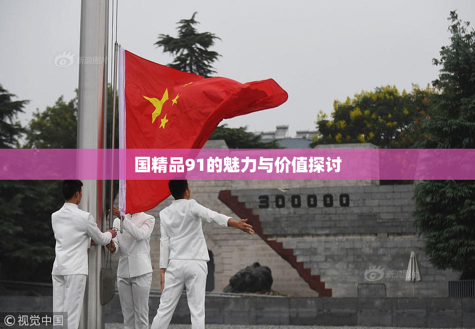 国精品91的魅力与价值探讨