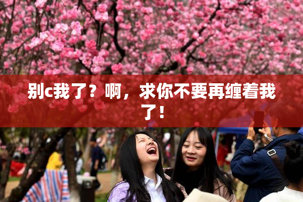别c我了？啊，求你不要再缠着我了！