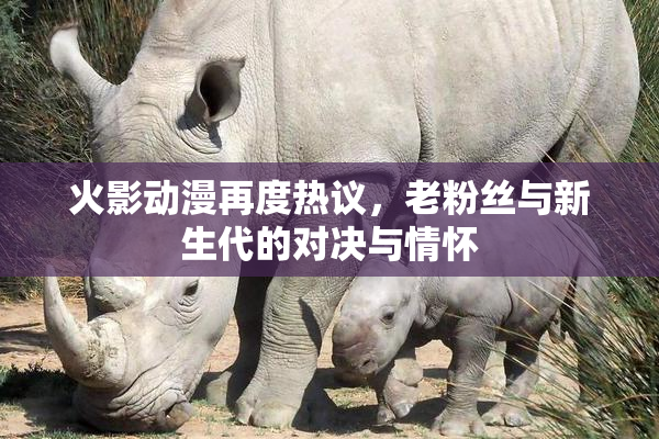 火影动漫再度热议，老粉丝与新生代的对决与情怀