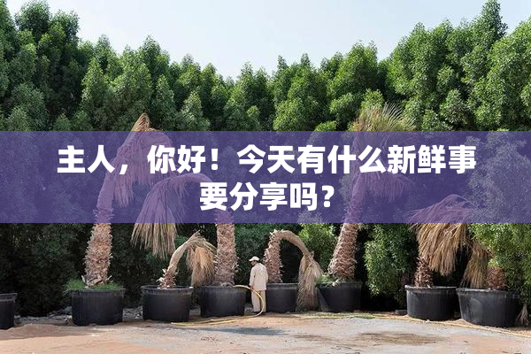 主人，你好！今天有什么新鲜事要分享吗？