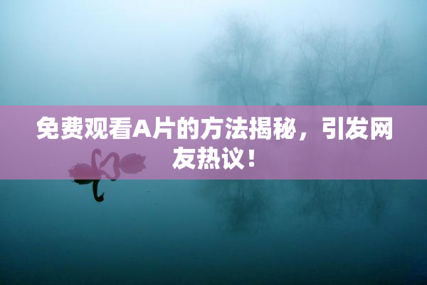 免费观看A片的方法揭秘，引发网友热议！