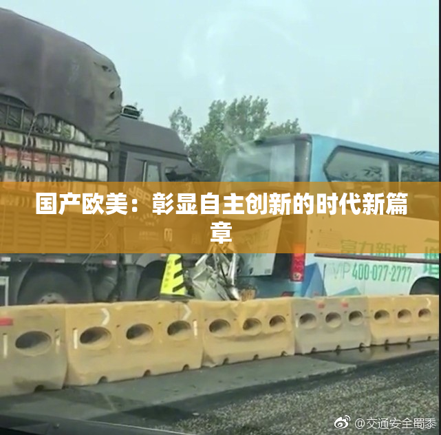 国产欧美：彰显自主创新的时代新篇章