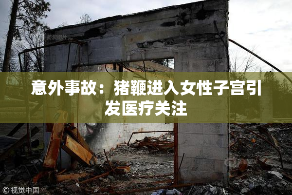 意外事故：猪鞭进入女性子宫引发医疗关注