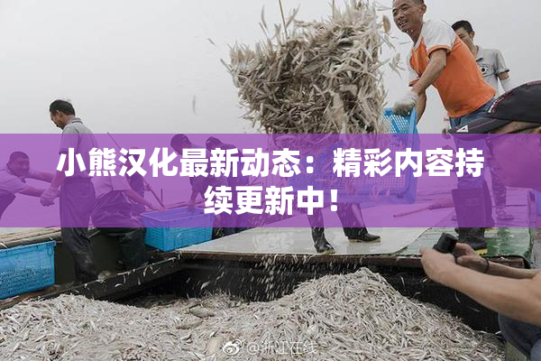 小熊汉化最新动态：精彩内容持续更新中！