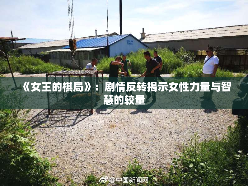 《女王的棋局》：剧情反转揭示女性力量与智慧的较量