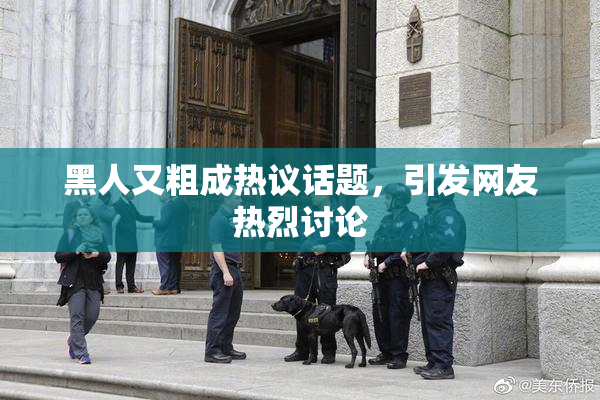 黑人又粗成热议话题，引发网友热烈讨论