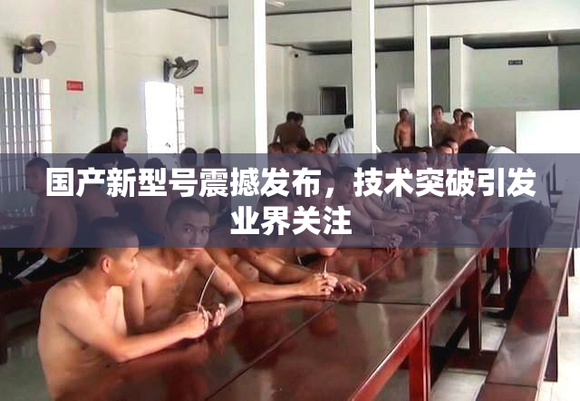 国产新型号震撼发布，技术突破引发业界关注