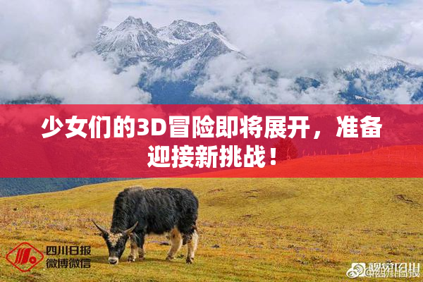 少女们的3D冒险即将展开，准备迎接新挑战！